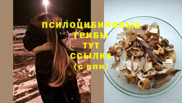 каннабис Баксан
