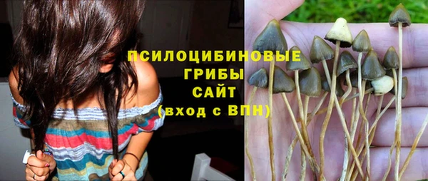 винт Балахна